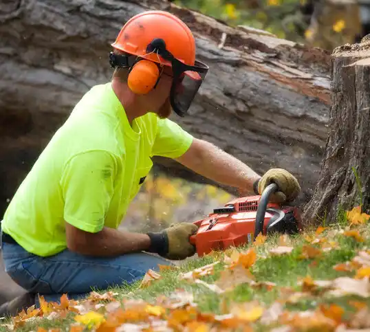 tree services Malden